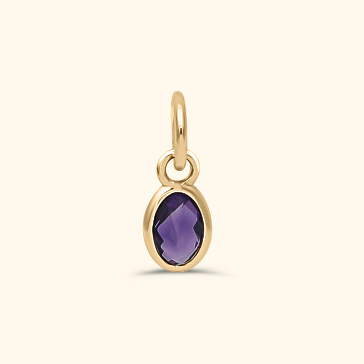 Amethyst Birthstone Hanger February | 14K Goud